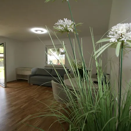 Diwani By Interhome Apartmán