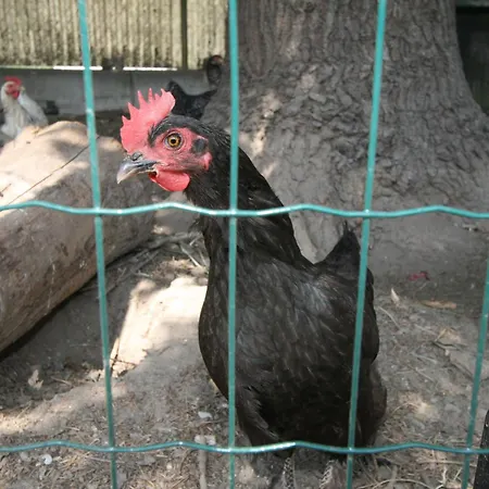 아파트 Diwani By Interhome