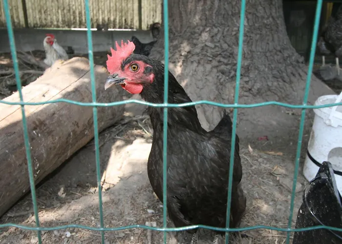 Apartment Diwani By Interhome